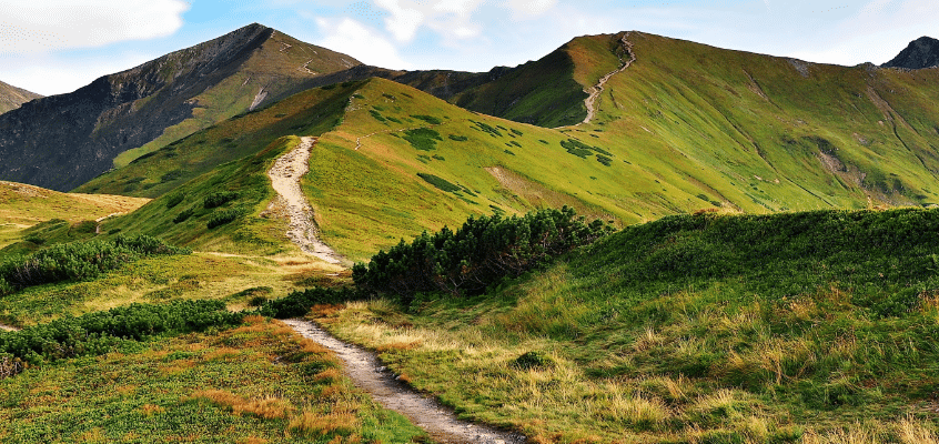 Edito-chemin de montagne 2
